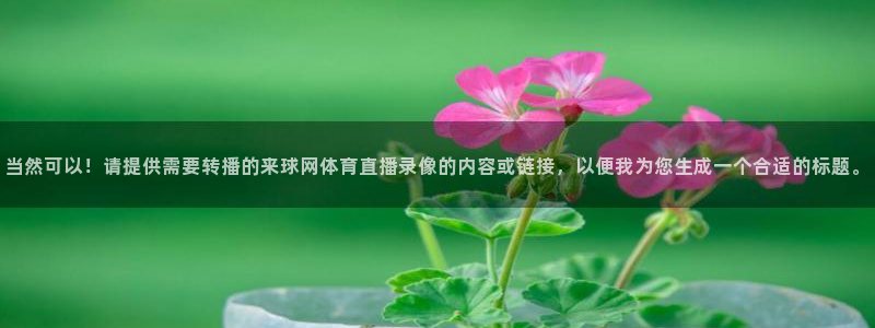 新闻图片