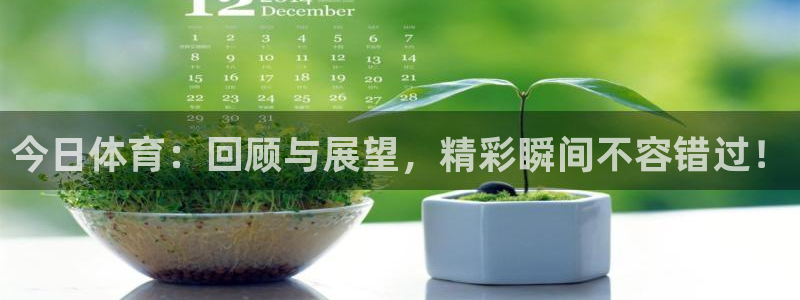 火凤足球比赛直播：今日体育：回顾与展望，精彩瞬间不容错过！