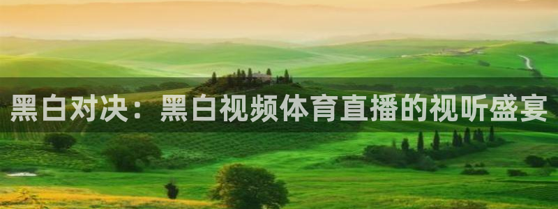 火凤直播体育app下载安装：黑白对决：黑白视频体育直播的视听盛宴